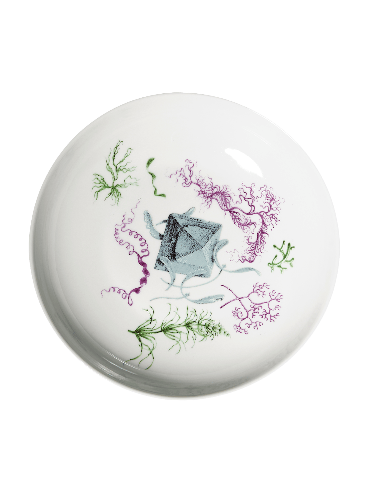 Deucalion hluboký talíř