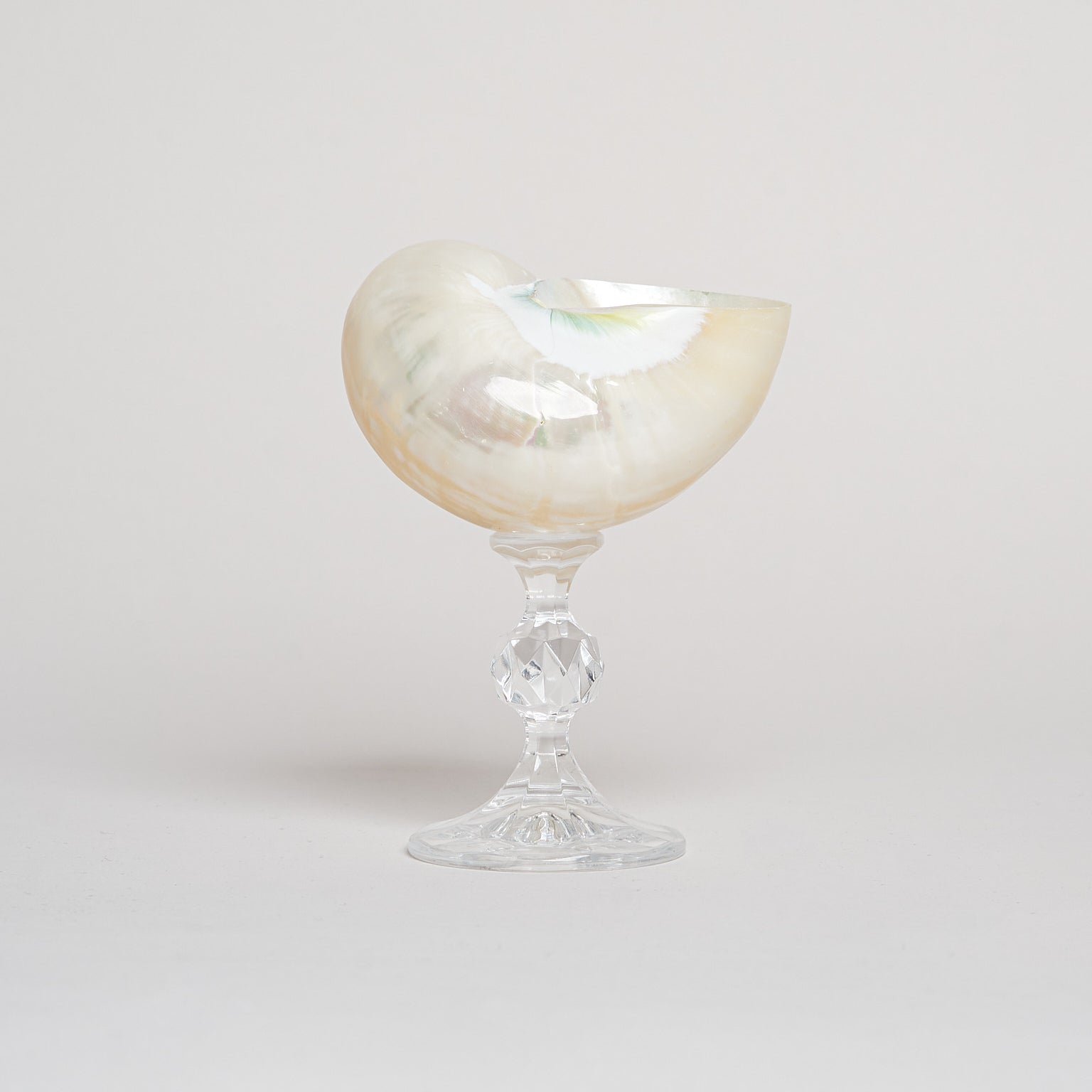 Ariel Pearl Snail glass