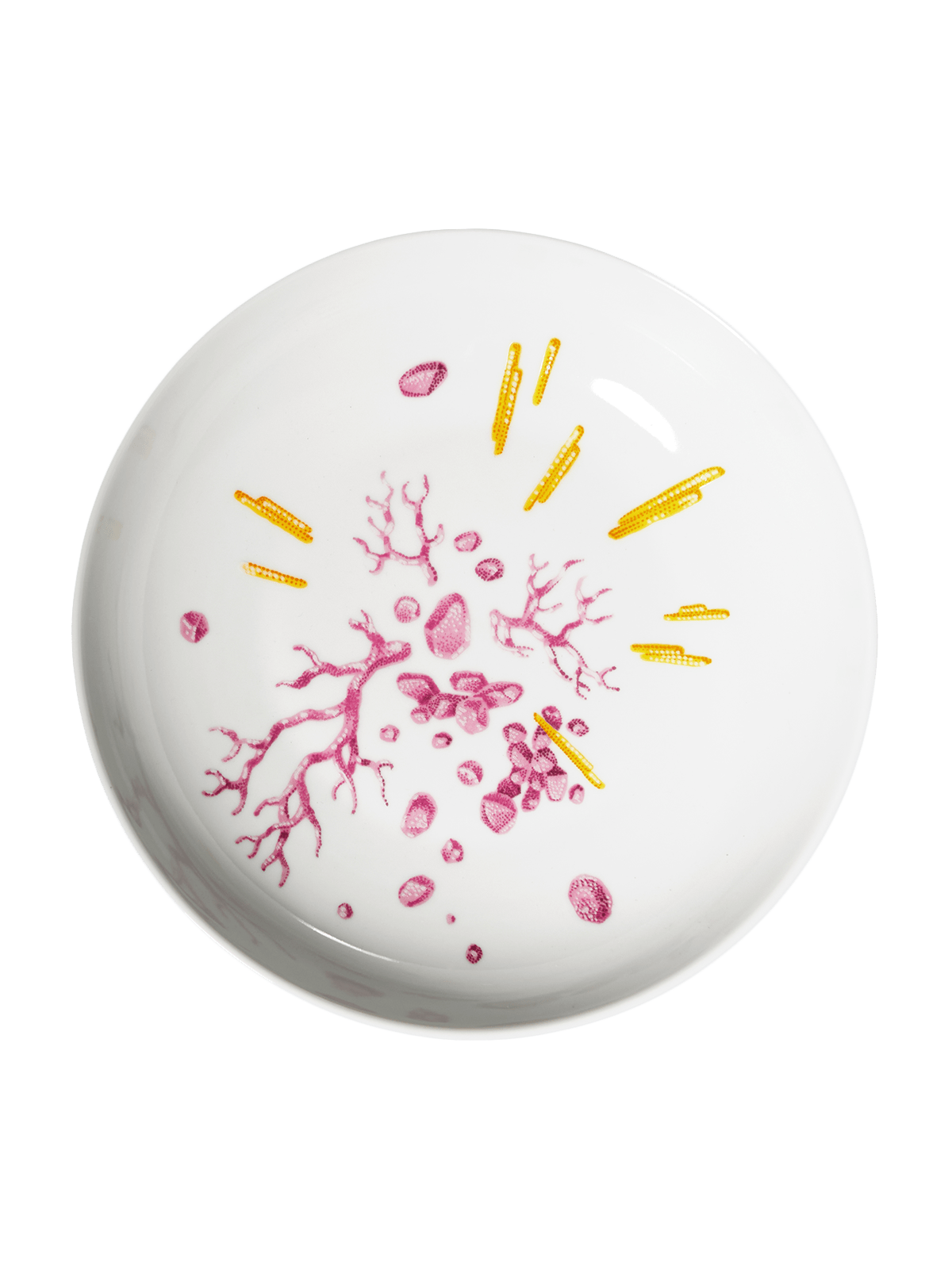 Phaeton hluboký talíř