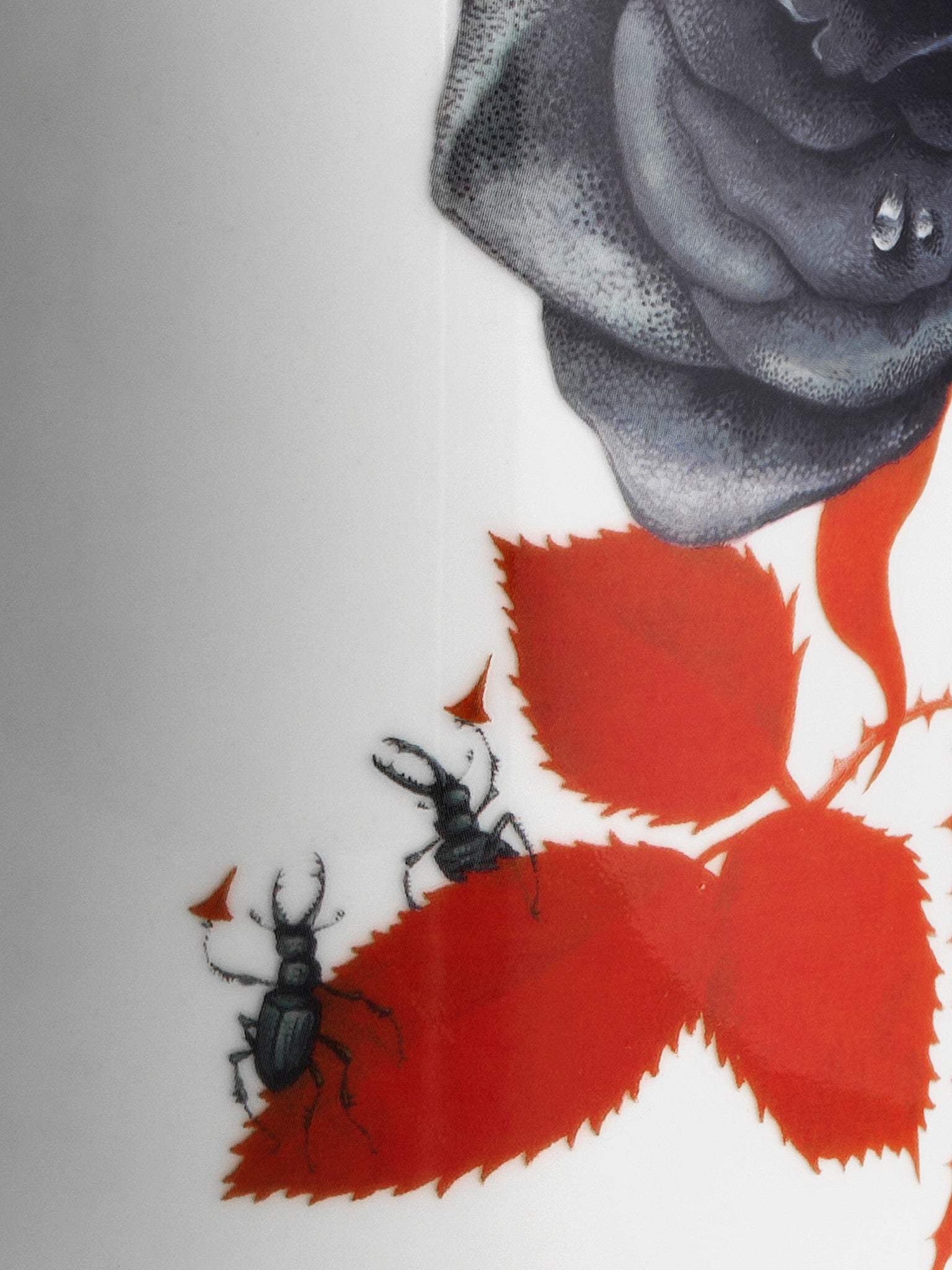 Rose vase