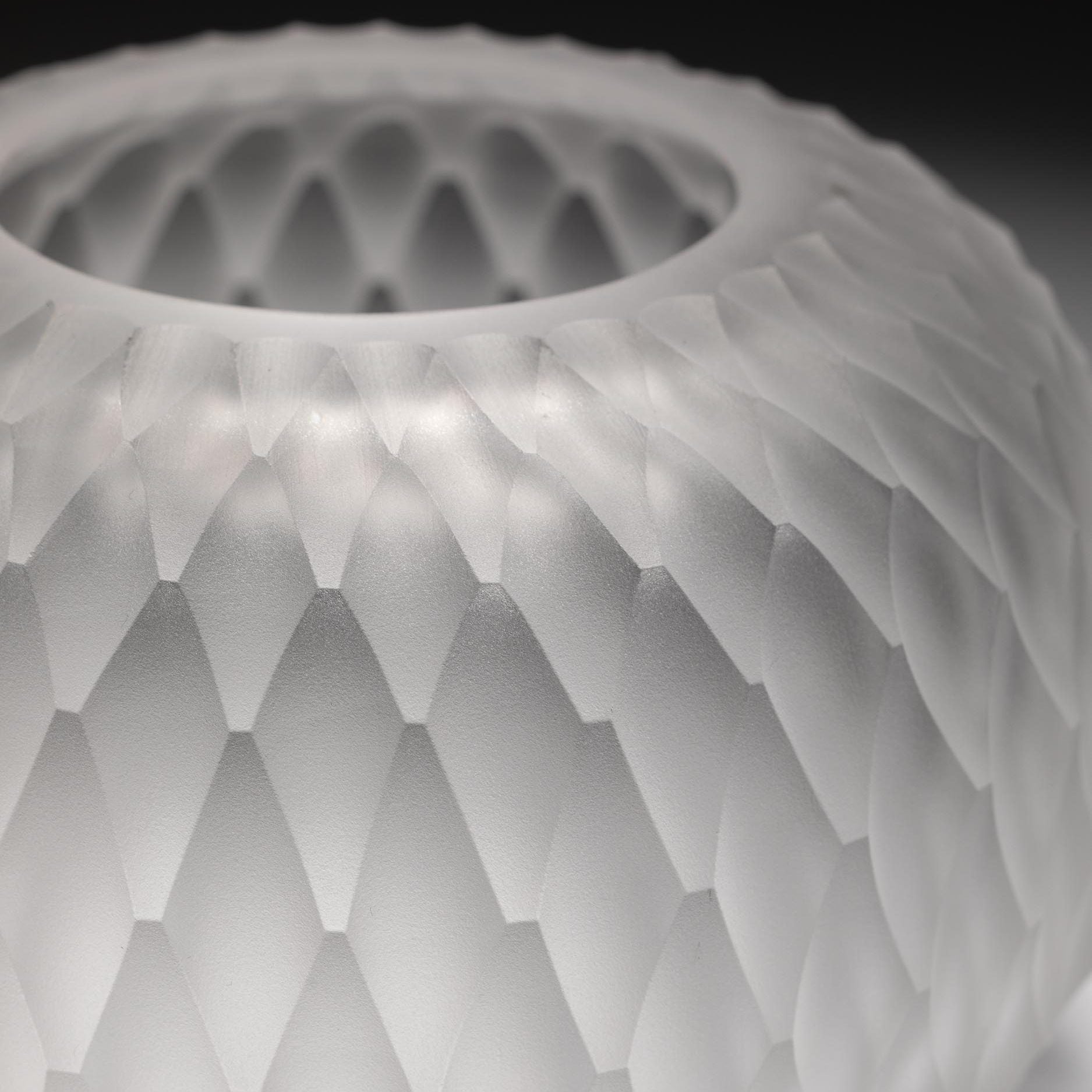 Metamorphosis svícen - čirý