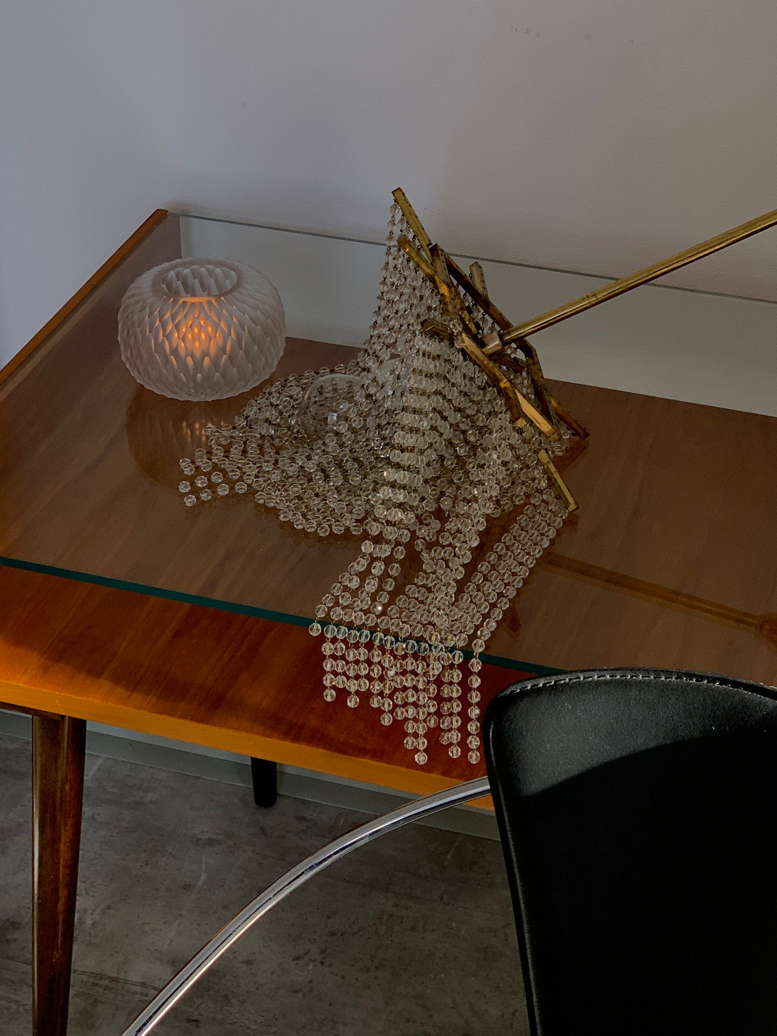 Metamorphosis svícen - čirý