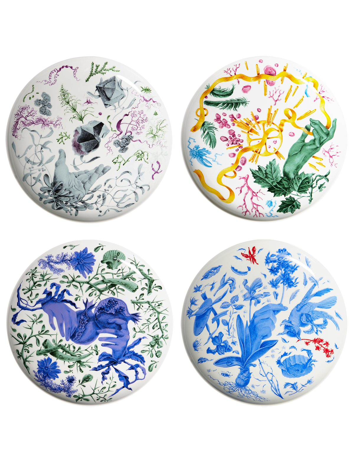 Deucalion dinner plate