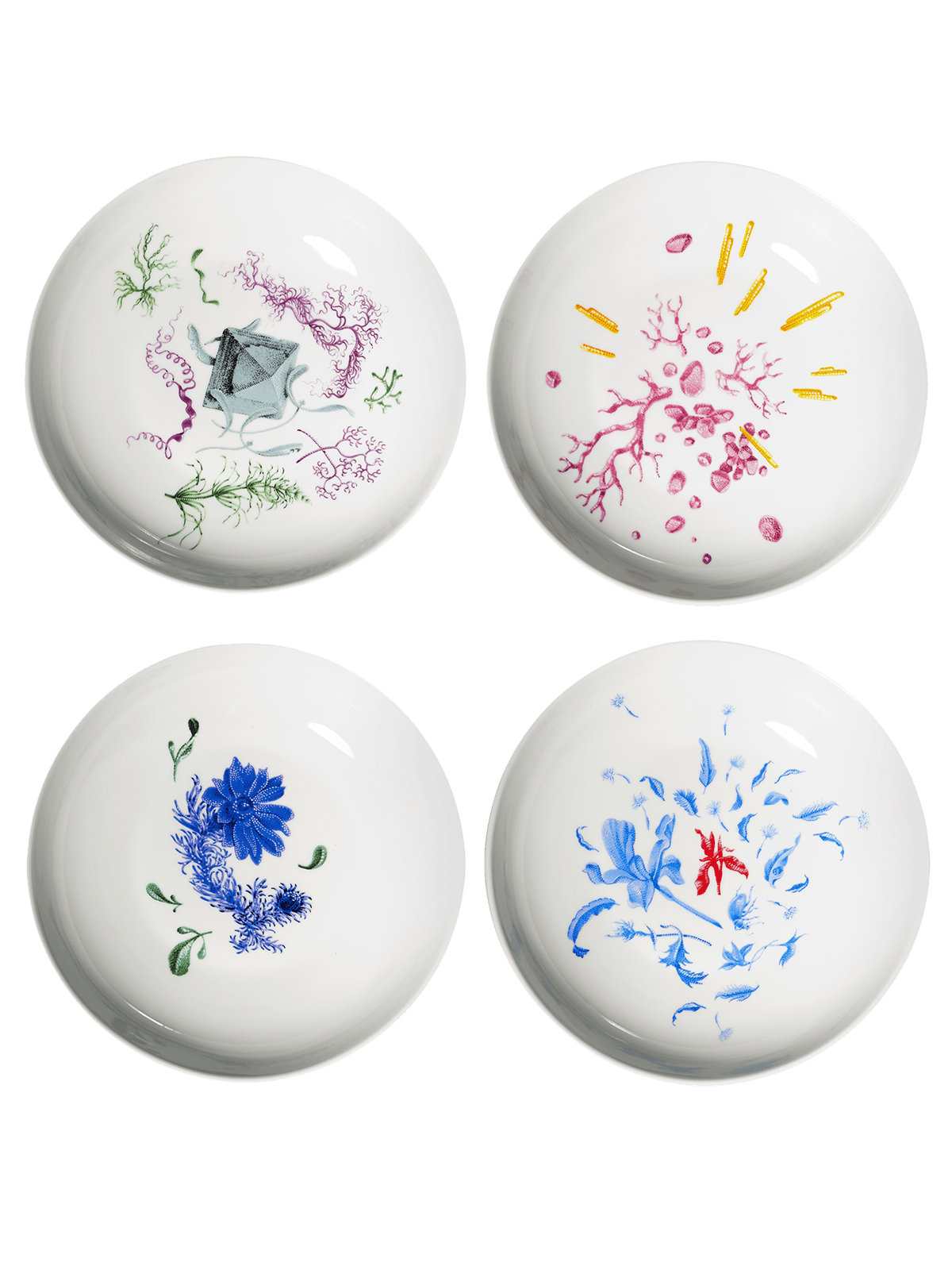 Adonis hluboký talíř