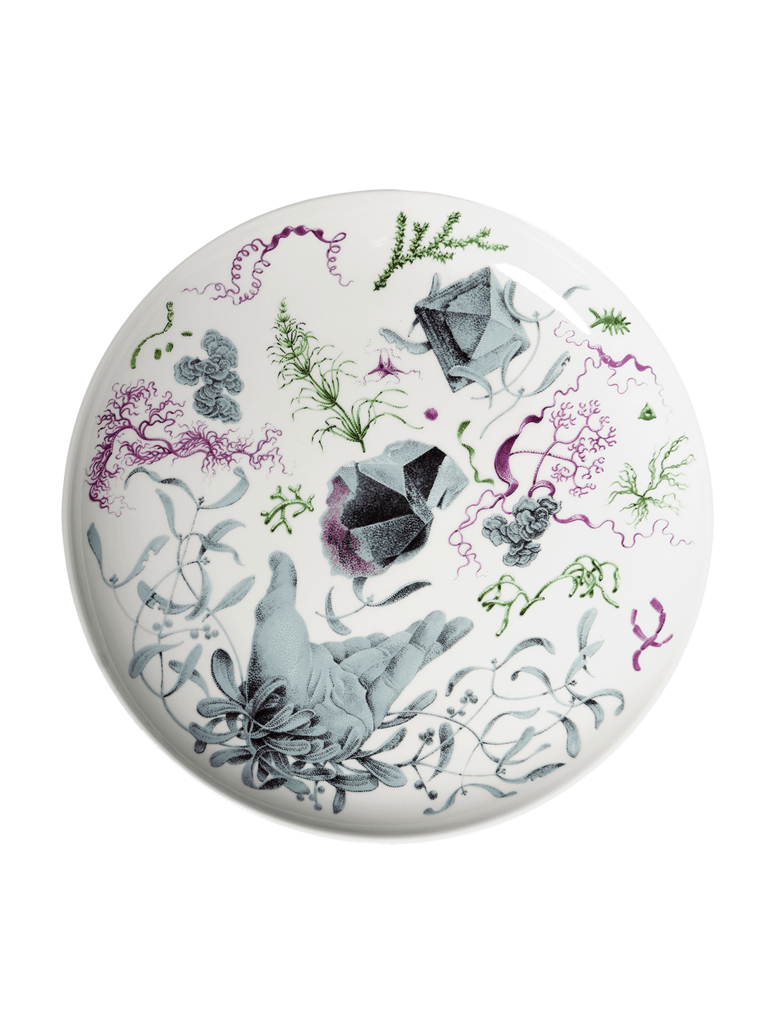 Deucalion dinner plate