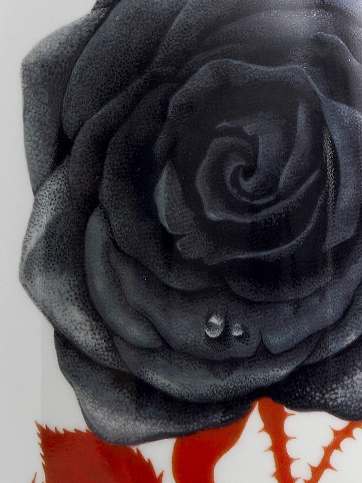 Rose vase