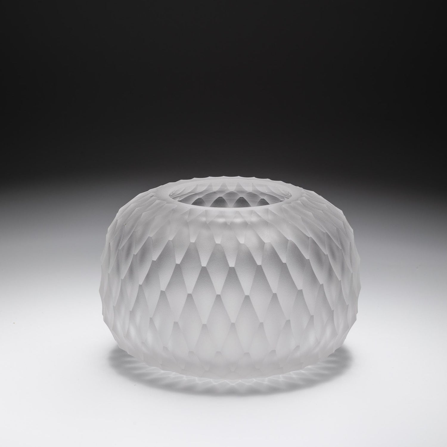 Metamorphosis svícen - čirý